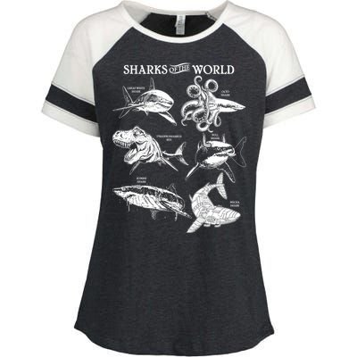 Sharks Of The World Enza Ladies Jersey Colorblock Tee