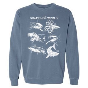 Sharks Of The World Garment-Dyed Sweatshirt