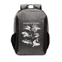 Sharks Of The World Vector Backpack