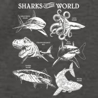 Sharks Of The World Vector Backpack