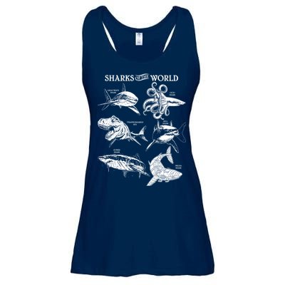 Sharks Of The World Ladies Essential Flowy Tank