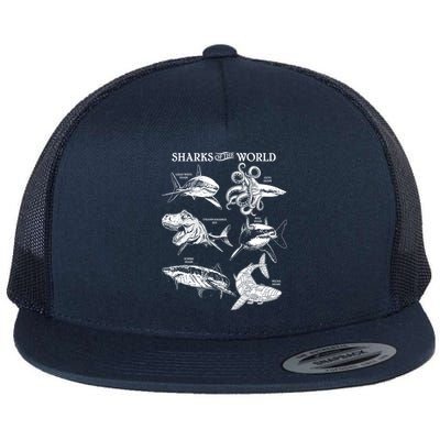 Sharks Of The World Flatbill Hat