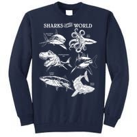 Sharks Of The World Tall Sweatshirt