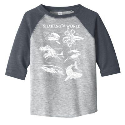 Sharks Of The World Toddler Fine Jersey T-Shirt