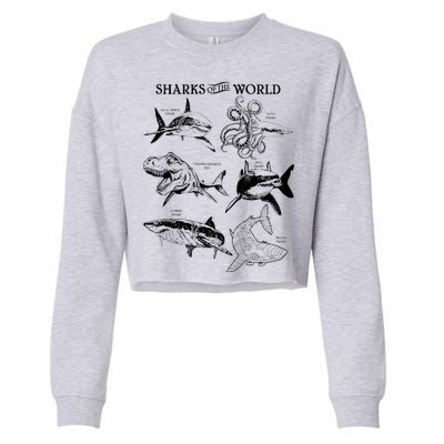 Sharks Of The World Cropped Pullover Crew