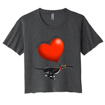 Stolen Heart Black Hound Women's Crop Top Tee