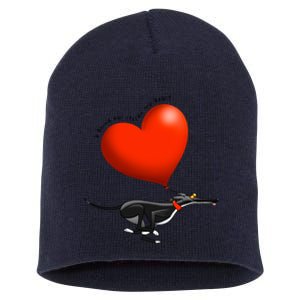 Stolen Heart Black Hound Short Acrylic Beanie