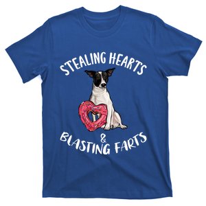 Stealing Hearts Blasting Farts Rat Terrier Valentines Day Gift T-Shirt