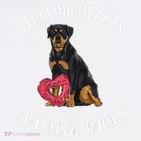 Stealing Hearts Blasting Farts Rottweiler Valentines Day Premium T-Shirt