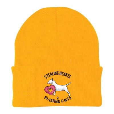 Stealing Hearts Blasting Farts Bull Terrier Valentines Day Gift Knit Cap Winter Beanie