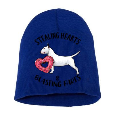 Stealing Hearts Blasting Farts Bull Terrier Valentines Day Gift Short Acrylic Beanie