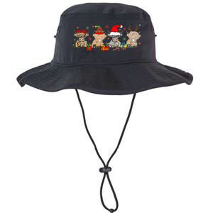 Scottish Highland Cow Christmas Tree Funny Cow Lover Xmas Legacy Cool Fit Booney Bucket Hat