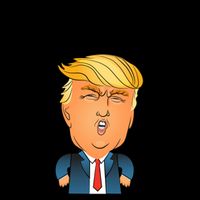 IM A Shithole Mr. President Funny Trump Mug