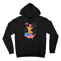 Scottish Highland Cow Independence Day American Flag Cow Hoodie