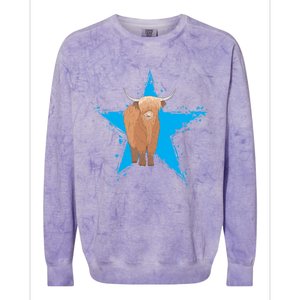 Scottish Highland Cow Star Cow Love Scottish Highland Cows Gift Colorblast Crewneck Sweatshirt