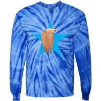 Scottish Highland Cow Star Cow Love Scottish Highland Cows Gift Tie-Dye Long Sleeve Shirt