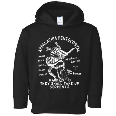 Snake Handling Church Appalachia Pentecostal Toddler Hoodie