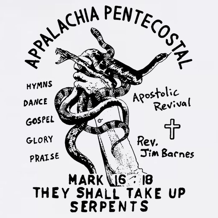 Snake Handling Church Appalachia Pentecostal Cooling Performance Crew T-Shirt