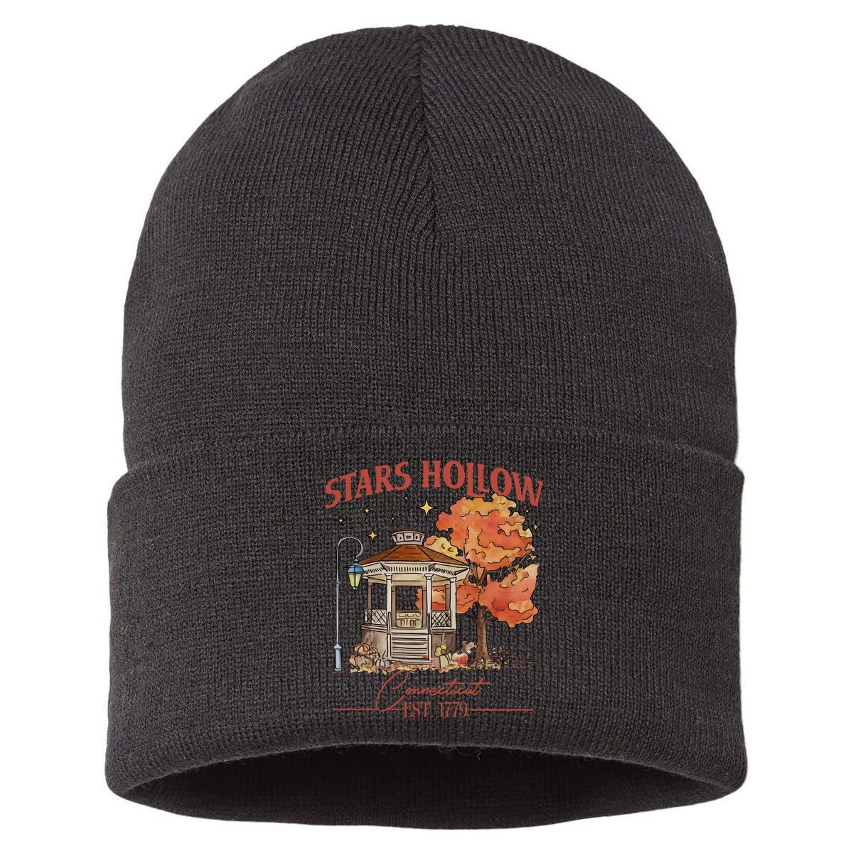 Stars Hollow Connecticut Est 1779 Sustainable Knit Beanie