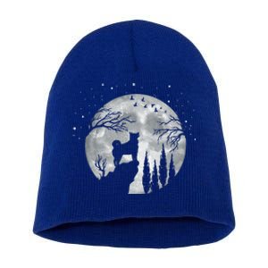 Siberian Husky Dog Full Moon At Night Funny Gift Dogs Sibarian Husky Great Gift Short Acrylic Beanie