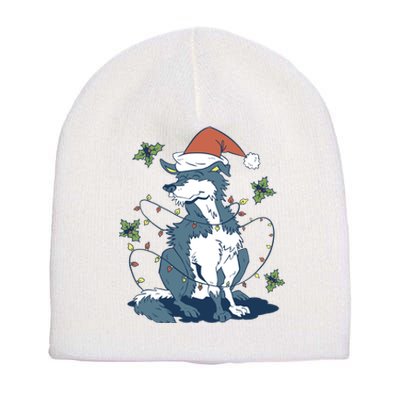 Siberian Husky Dog Christmas Holiday Short Acrylic Beanie