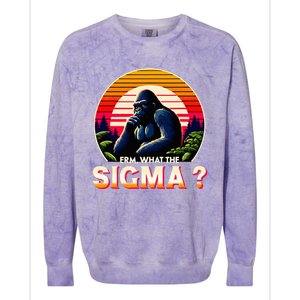 Sarcastic Humor Erm What The Sigma Funny Ironic Colorblast Crewneck Sweatshirt