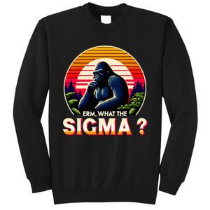 Sarcastic Humor Erm What The Sigma Funny Ironic Sweatshirt