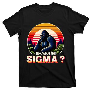 Sarcastic Humor Erm What The Sigma Funny Ironic T-Shirt