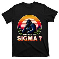 Sarcastic Humor Erm What The Sigma Funny Ironic T-Shirt