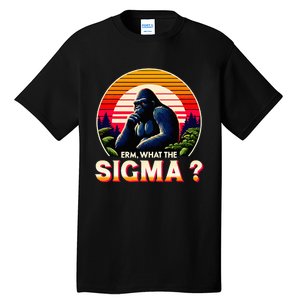 Sarcastic Humor Erm What The Sigma Funny Ironic Tall T-Shirt