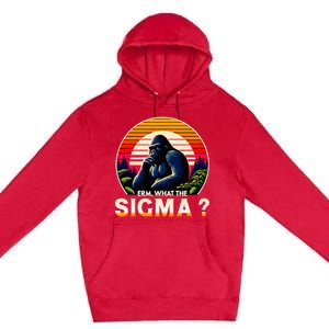 Sarcastic Humor Erm What The Sigma Funny Ironic Premium Pullover Hoodie