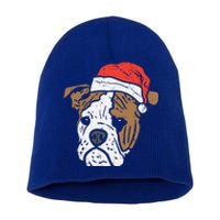 Santa Hat English Bulldog Christmas Pet Dog Lover Owner Xmas Funny Gift Short Acrylic Beanie