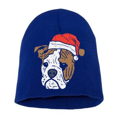 Santa Hat English Bulldog Christmas Pet Dog Lover Owner Xmas Funny Gift Short Acrylic Beanie