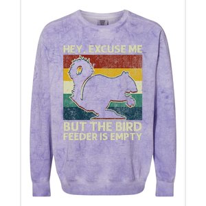 Squirrel Hey Excuse Me But Your Bird Feeder Is Empty Funny Colorblast Crewneck Sweatshirt