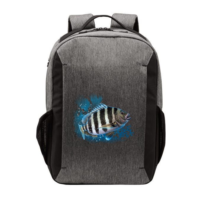Sheepshead Vector Backpack