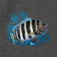 Sheepshead Vector Backpack