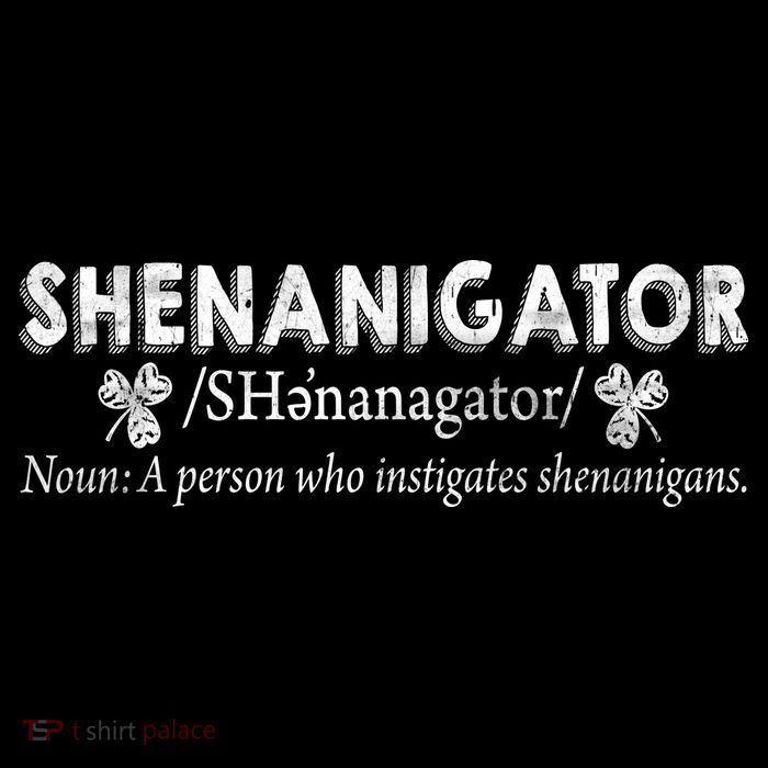 Shenanigator A Person Who Instigates Shenanigans Sustainable Beanie