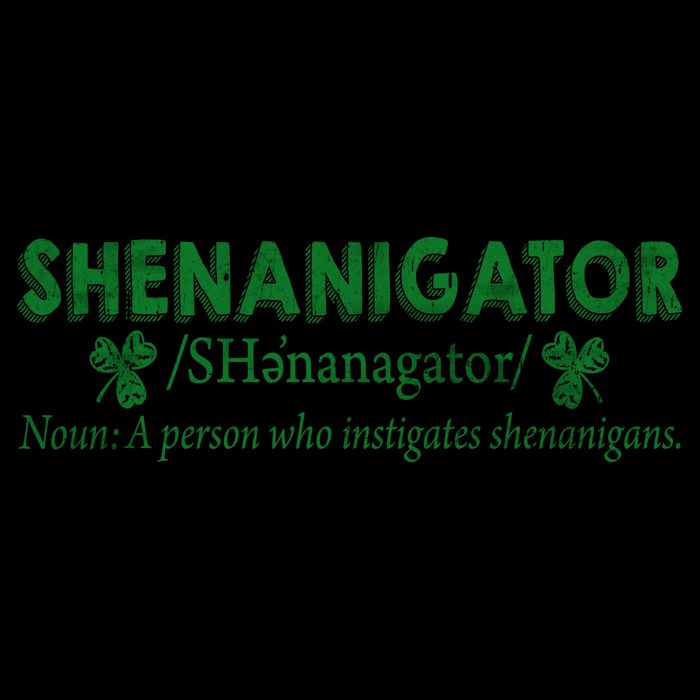 Shenanigator A Person Who Instigates Shenanigans 16oz Travel Tumbler
