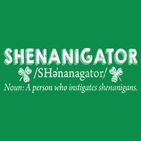 Shenanigator A Person Who Instigates Shenanigans Women's V-Neck T-Shirt