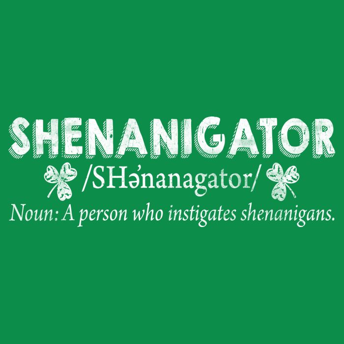 Shenanigator A Person Who Instigates Shenanigans Women's V-Neck T-Shirt