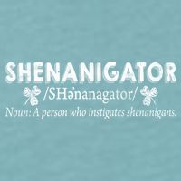 Shenanigator A Person Who Instigates Shenanigans Sueded Cloud Jersey T-Shirt