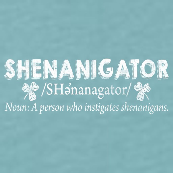 Shenanigator A Person Who Instigates Shenanigans Sueded Cloud Jersey T-Shirt