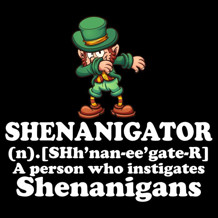 Shenanigator Definition Drawstring Bag