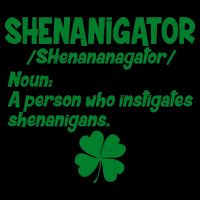 Shenanigator Definition Person Instigates Shenanigans  16oz Travel Tumbler