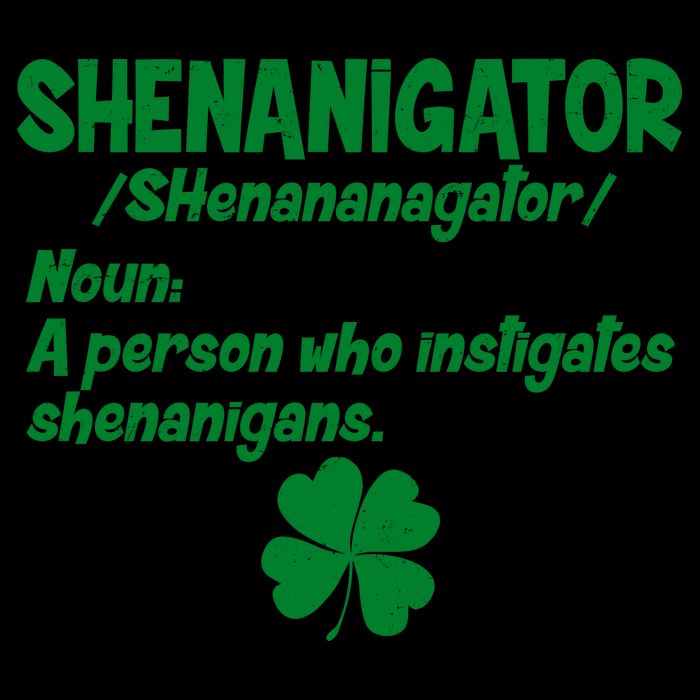 Shenanigator Definition Person Instigates Shenanigans  16oz Travel Tumbler