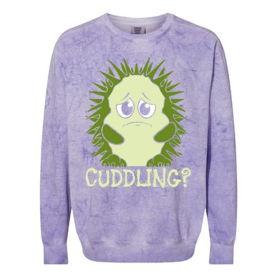 Sweet Hedgehog Funny Gift Colorblast Crewneck Sweatshirt