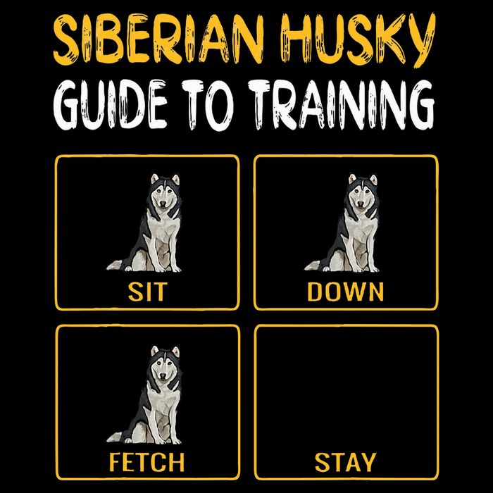 Siberian Husky Guide To Training Dog Obedience Poster