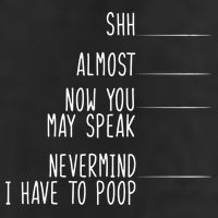 Shh Now You May Speak Nevermind Have To Poop 7 Panel Mesh Trucker Snapback Hat