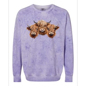 Scottish Hairy Highland Cows Apparel Coos Family Fun Colorblast Crewneck Sweatshirt