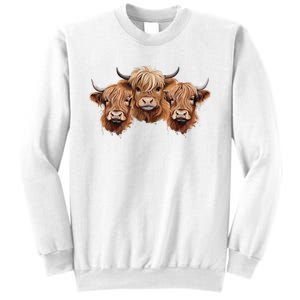 Scottish Hairy Highland Cows Apparel Coos Family Fun Sweatshirt